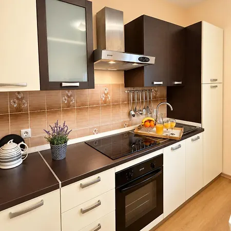 'bodulo' Apartment Povljana